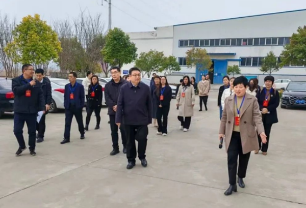 宜阳县人大代表一行莅临中仑包装